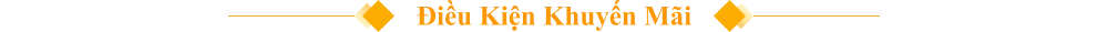 Điều khoản chương trình